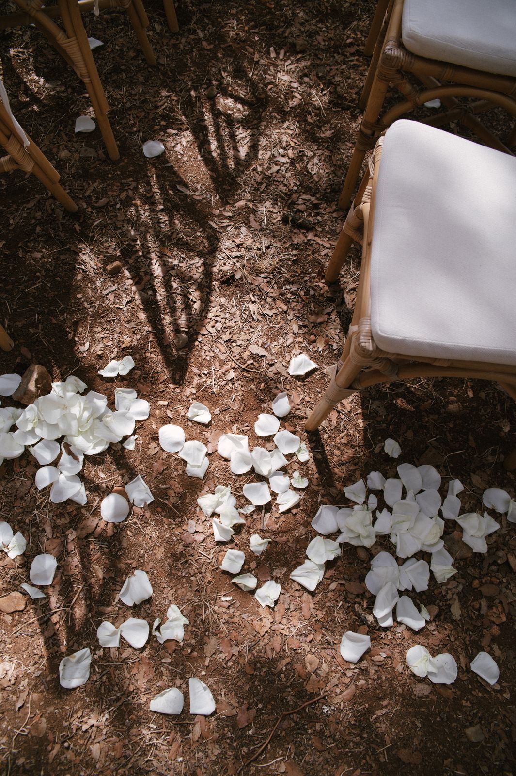 Woodland wedding ceremony under the old trees at Finca Binissatí, Mallorca