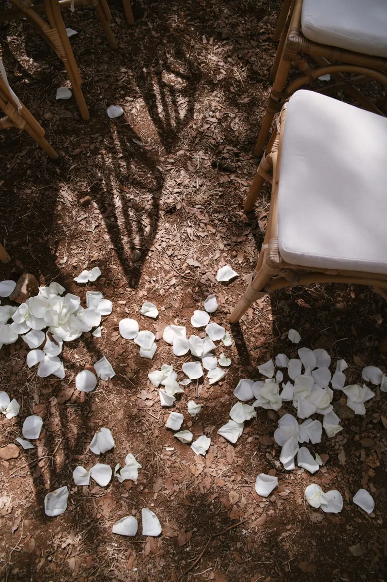 Woodland wedding ceremony under the old trees at Finca Binissatí, Mallorca