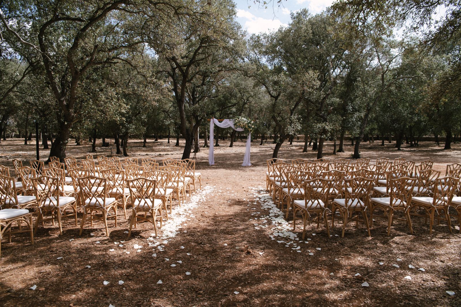 Woodland wedding ceremony under the old trees at Finca Binissatí, Mallorca