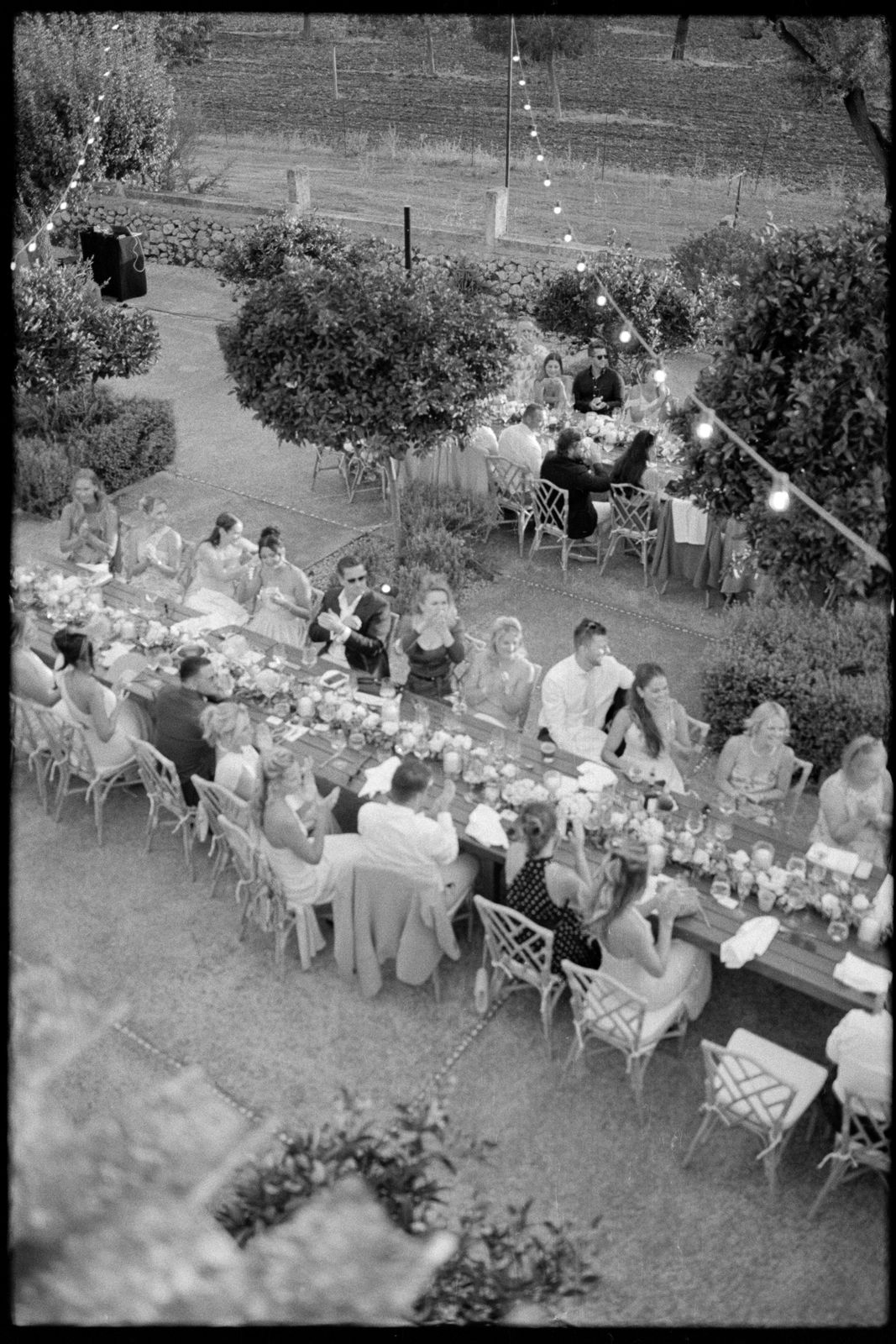 Alix and Scott's wedding on 35mm film at Finca Binissatí, Mallorca