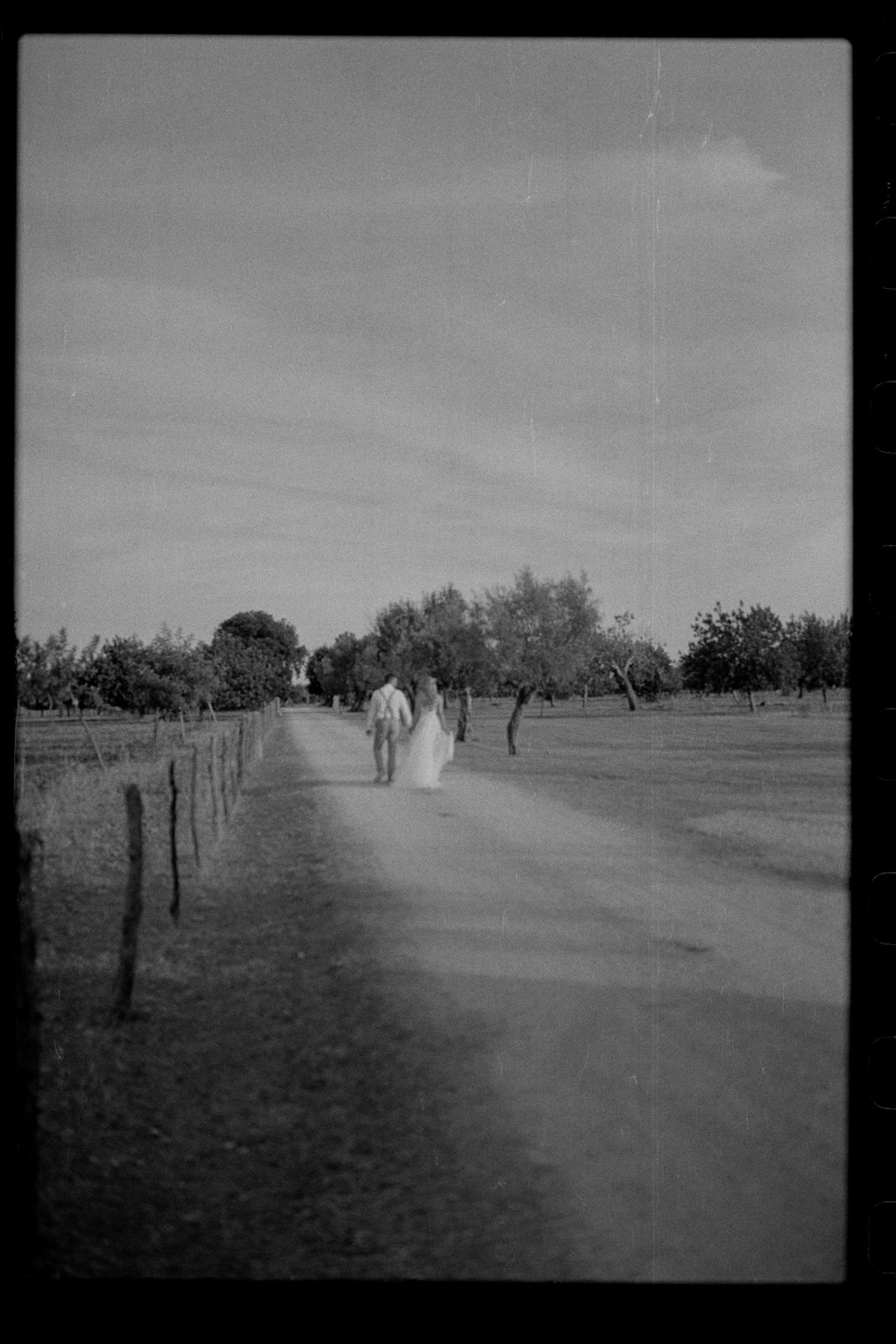 Alix and Scott's wedding on 35mm film at Finca Binissatí, Mallorca