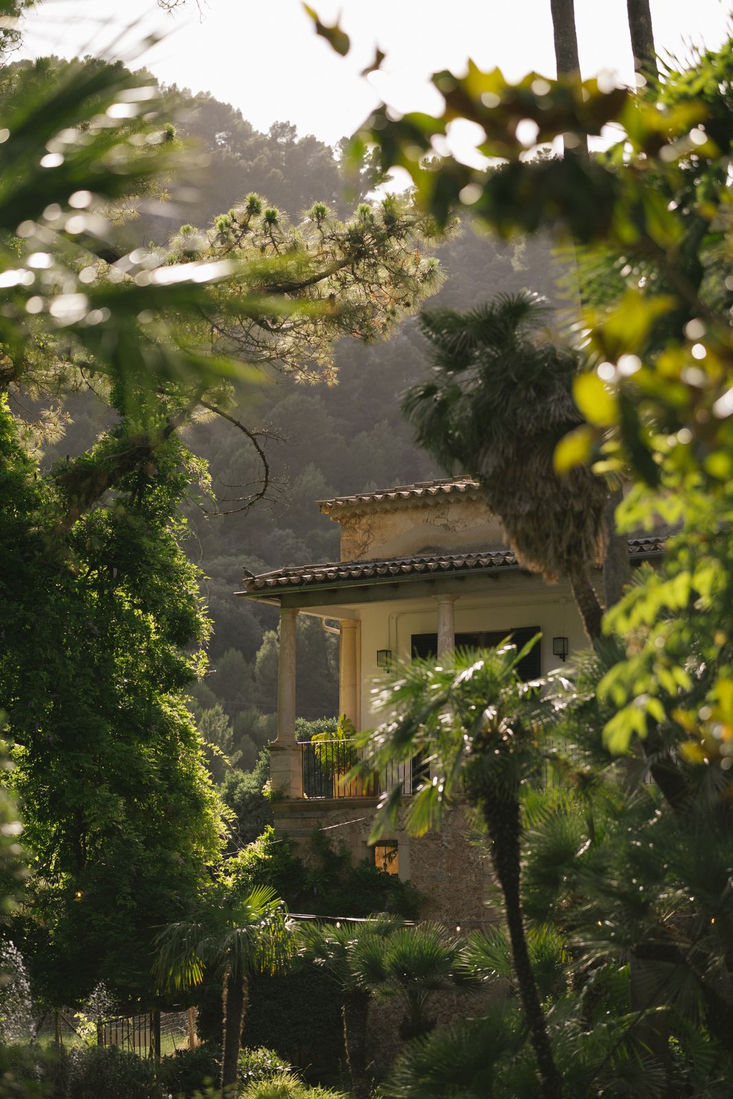 Cocktails under the palm trees at Jardines de Alfabia, Mallorca