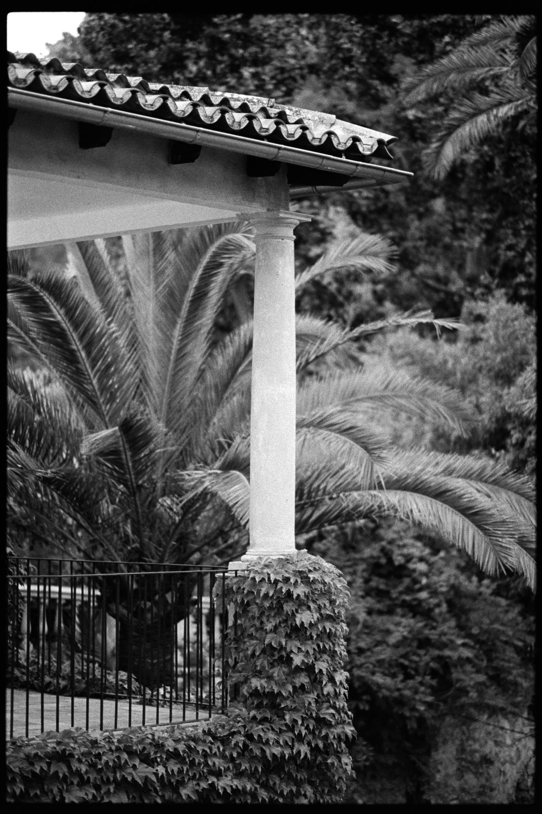 Charlotte and Rhodri's wedding on 35mm film at Jardines de Alfabia, Mallorca
