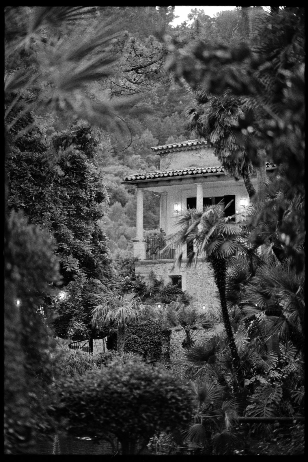 Charlotte and Rhodri's wedding on 35mm film at Jardines de Alfabia, Mallorca