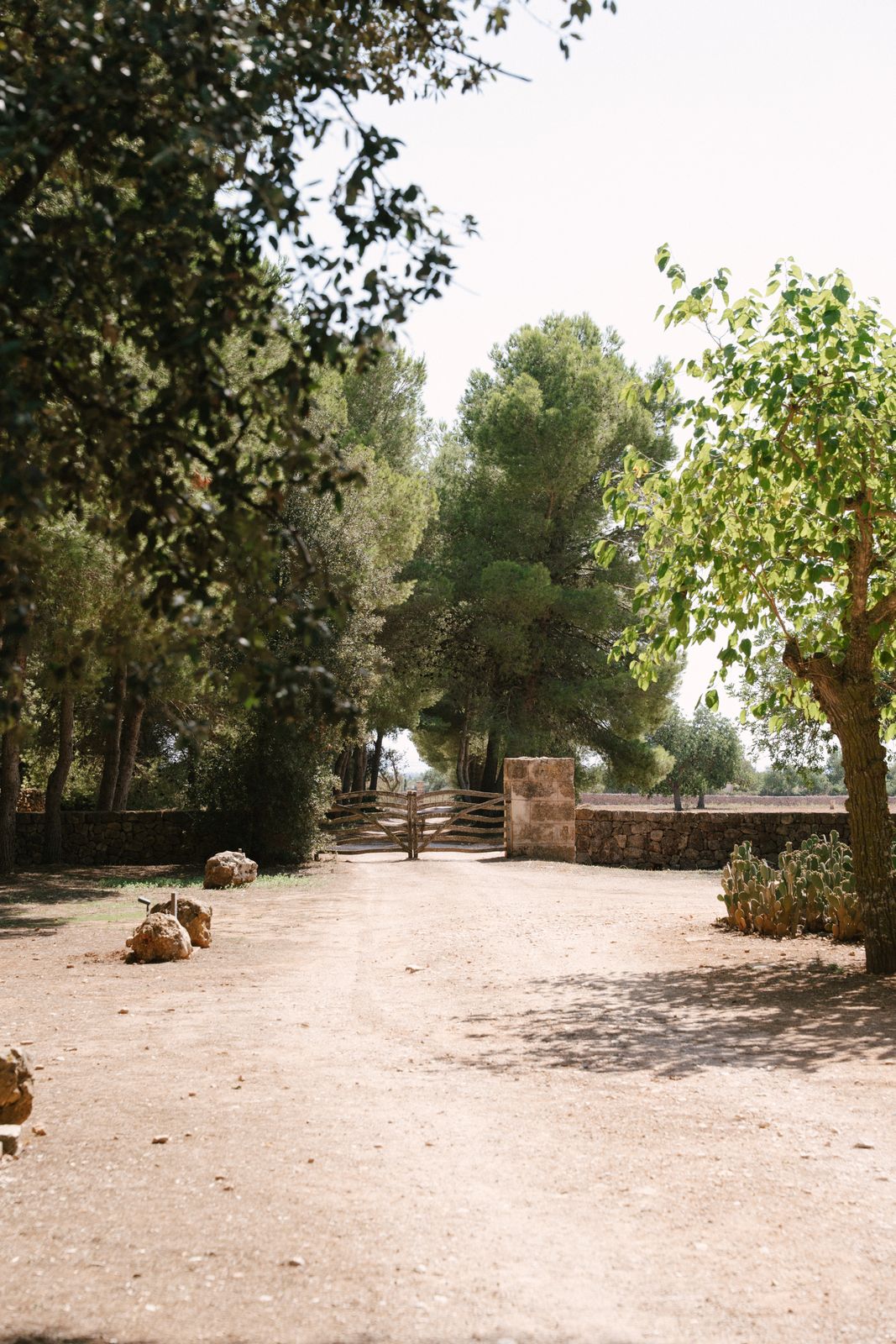Dinner on the lawn at Son Sampol, Llucmajor, Mallorca