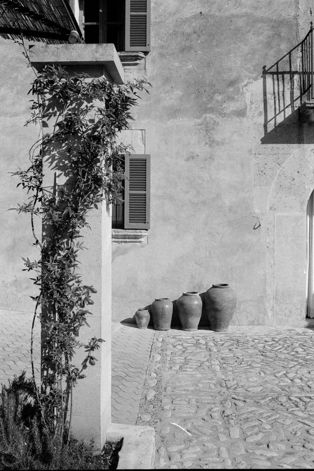 Chloe and Shaun's wedding on 35mm film at Son Sampol, Llucmajor, Mallorca