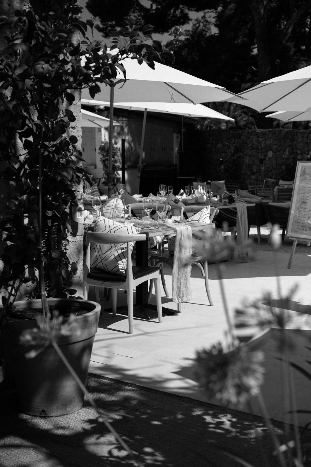 Dinner for sixty guests at Lume & Co, Génova, Mallorca