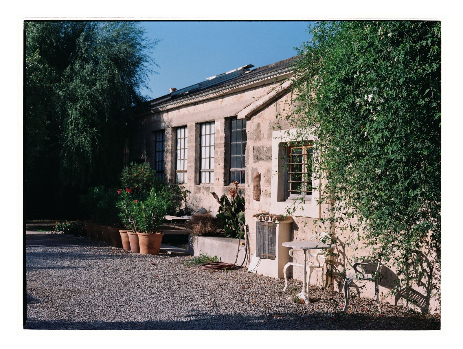 Wedding photograph on 35mm film in Mallorca