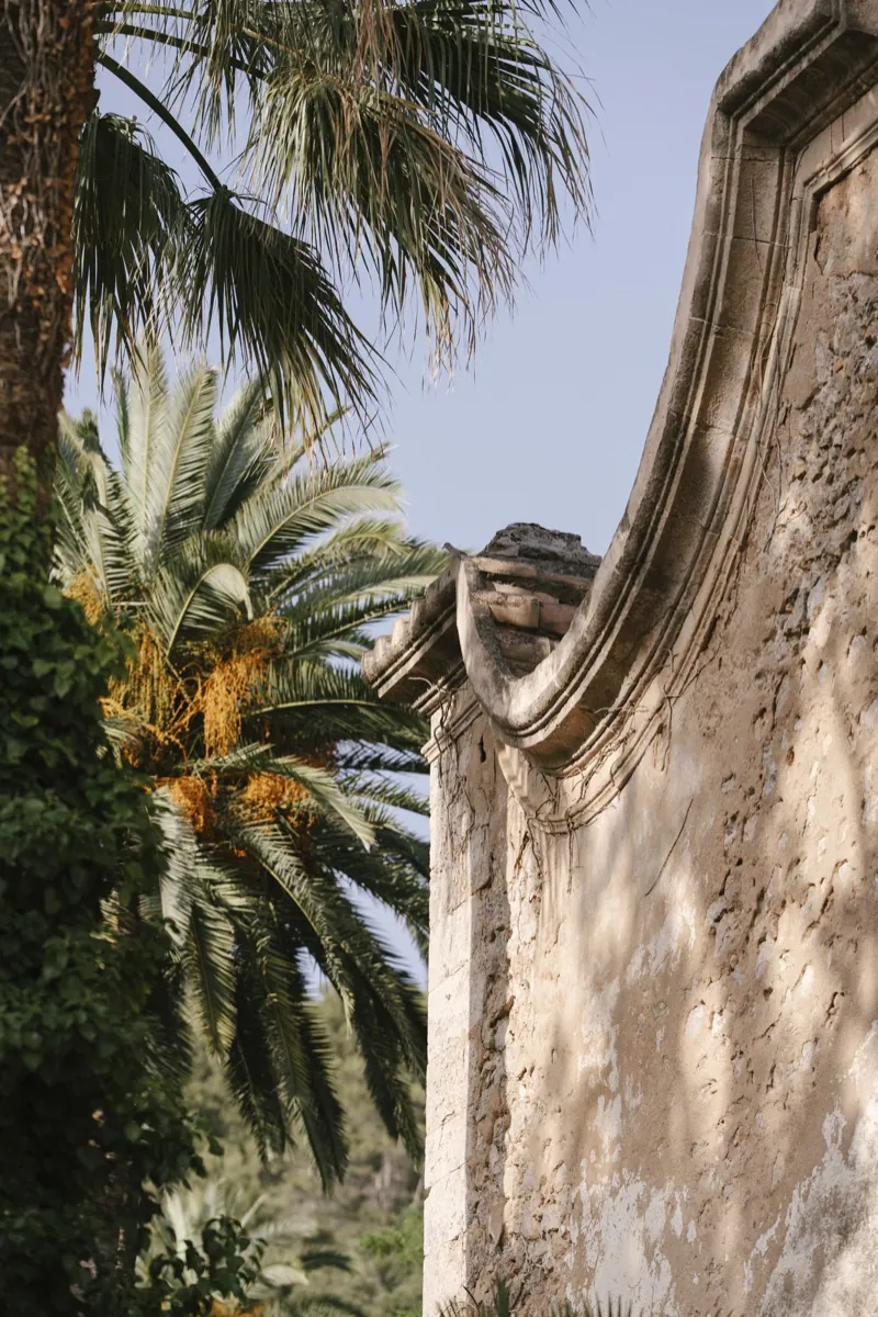 Palms against the weathered stone façade and its carved window, Jardines de Alfabia, Mallorca