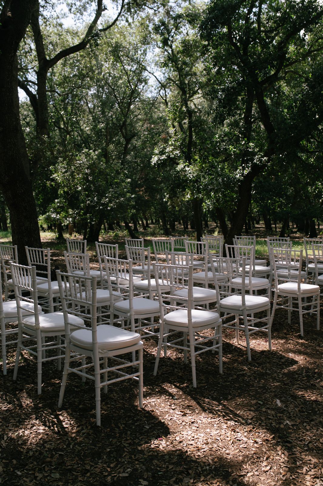 Woodland wedding ceremony at Finca Binissatí, Mallorca