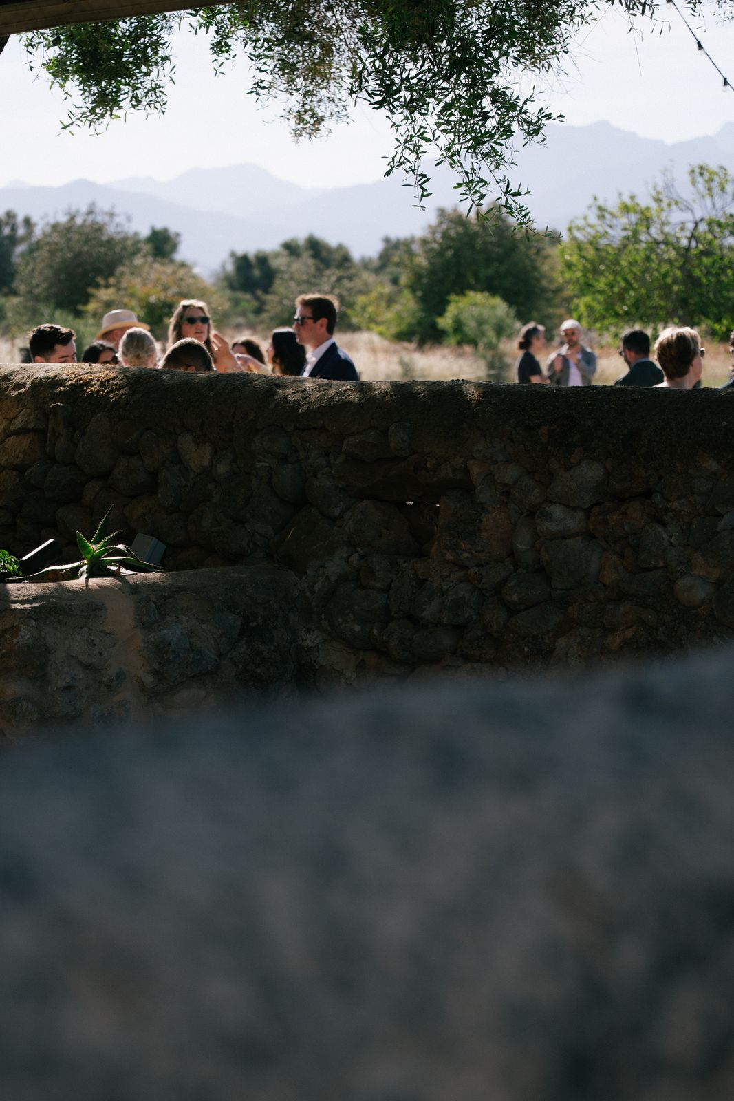 Golden hour dinner in the orange grove at Finca Binissatí, Mallorca