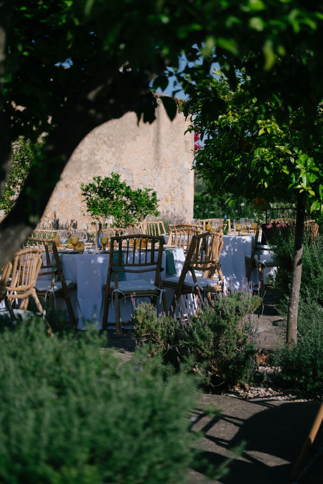 Golden hour dinner in the orange grove at Finca Binissatí, Mallorca
