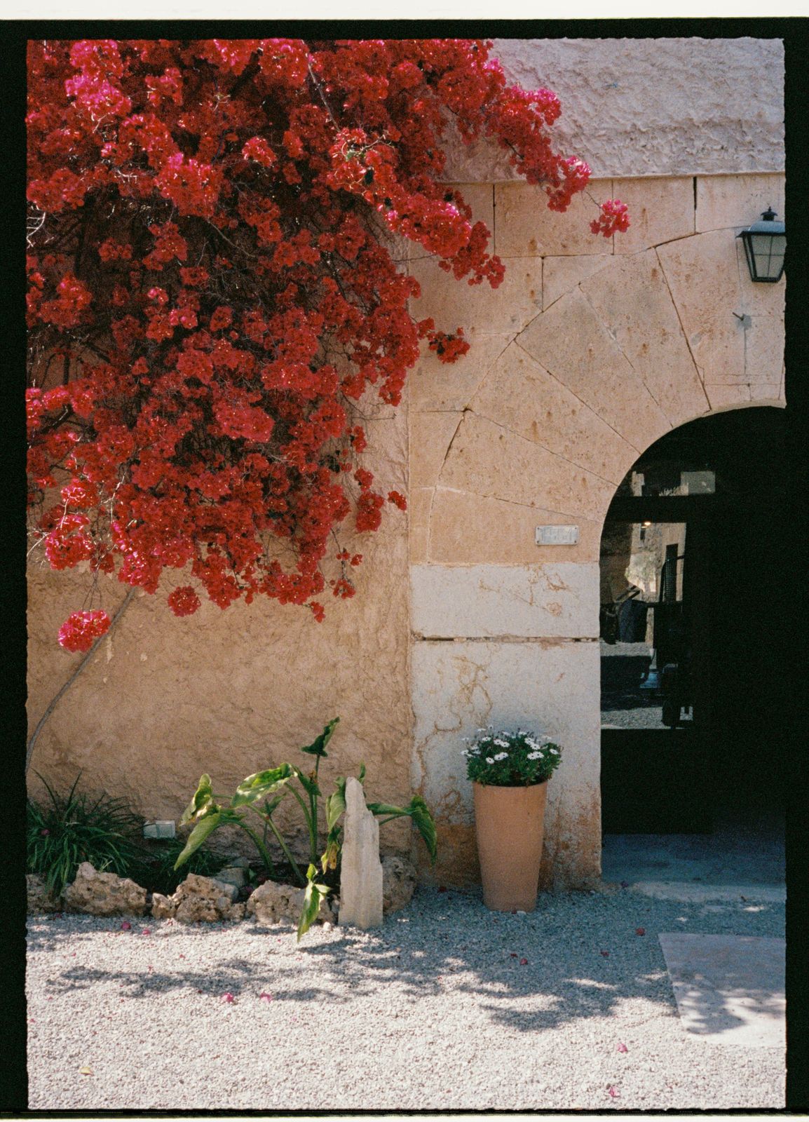 Michelle and Moisés's wedding on 35mm film at Finca Binissatí, Mallorca