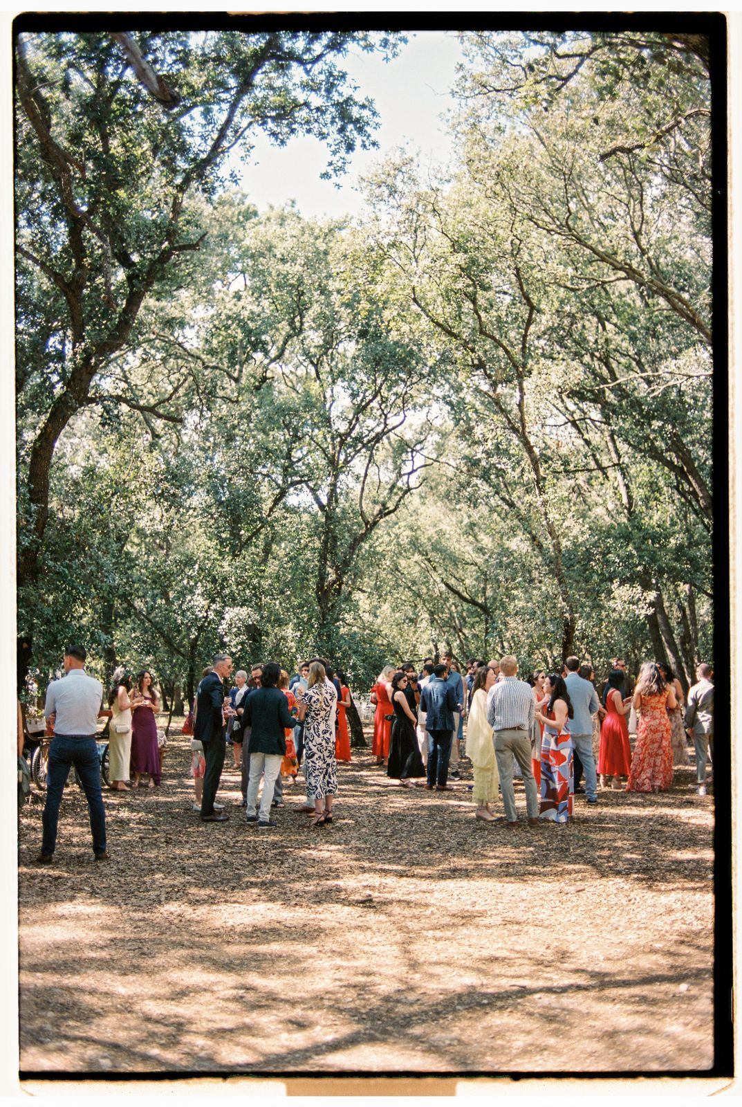 Michelle and Moisés's wedding on 35mm film at Finca Binissatí, Mallorca