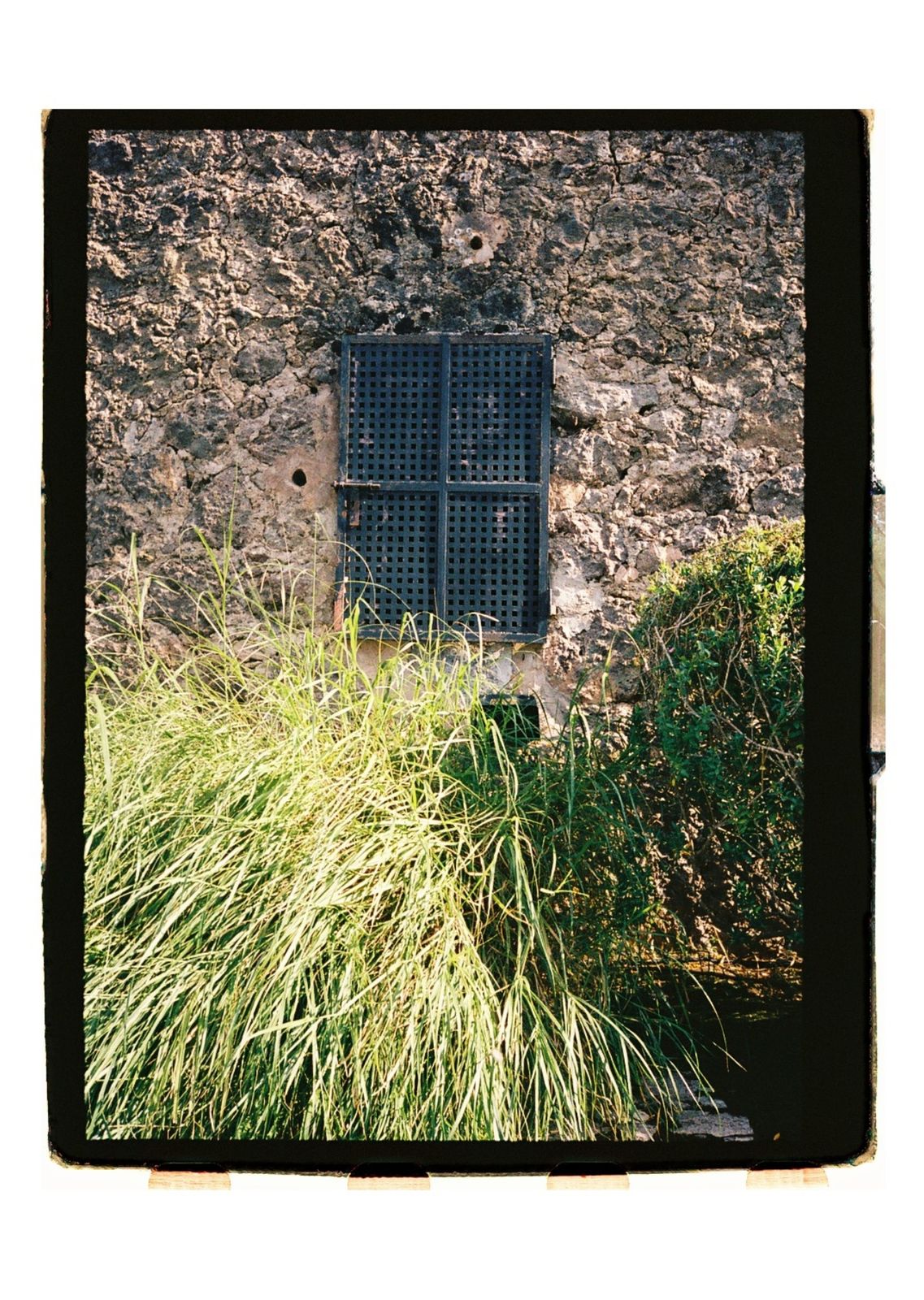 Wedding photograph on 35mm film at Son Burguet, Puigpunyent, Mallorca