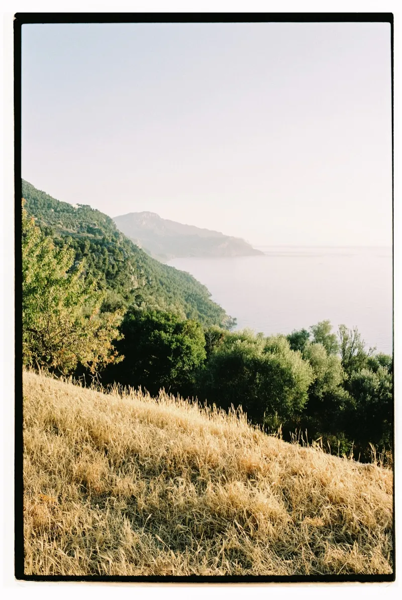 The Tramuntana hillside and the sea in haze, shot on 35mm film, Son Marroig, Deià, Mallorca